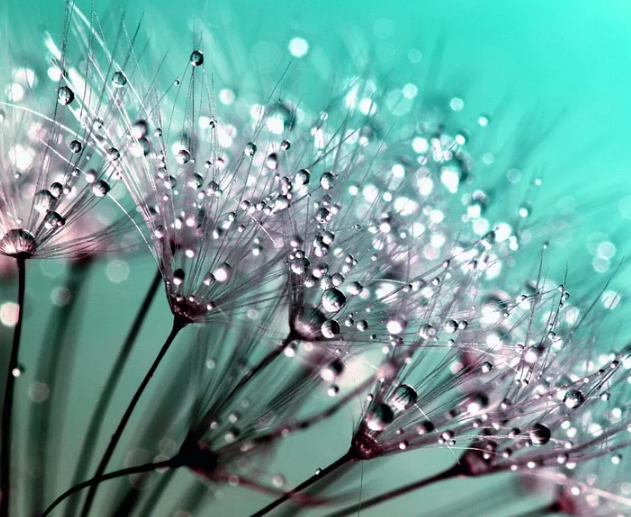 1594224948758392.png image.png