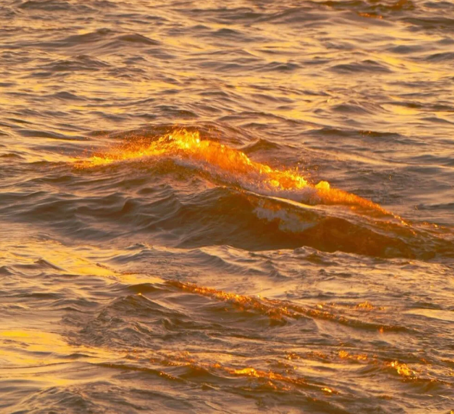 1597579594938178.png image.png