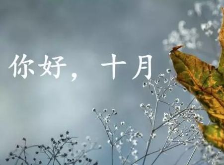 1597579948466507.png image.png