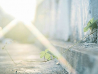 想你肉麻短信大全 感动情人的短信