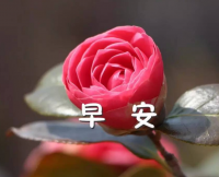 励志的早安心语加图片 健康早安心语正能量