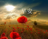 企业发展战略标语 企业宗旨标语大全