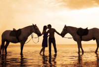 爱情寄语感动短句 最感人的爱情寄语大全