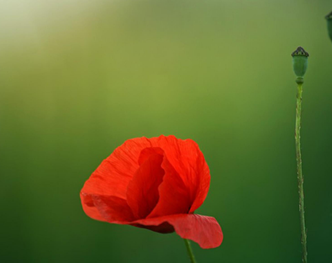 1597682328862012.png image.png