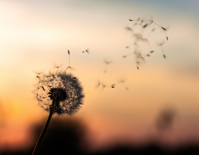 1597682472647499.png image.png