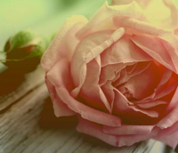 污一点的情话 很污的一句小情话