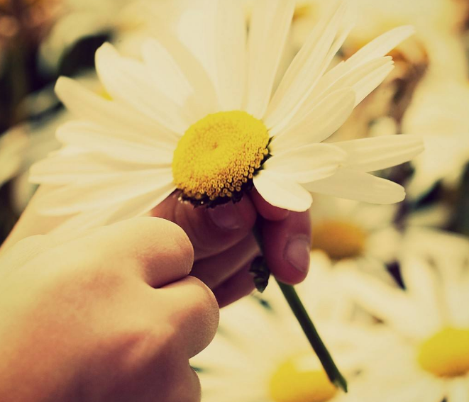 1598106820871006.png image.png