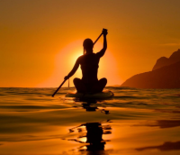 清新淡雅脱俗的昵称 清新淡雅的网名