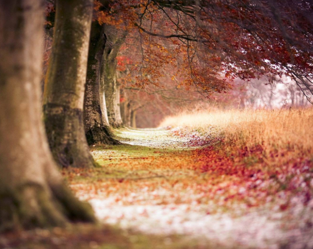 1598107377127761.png image.png