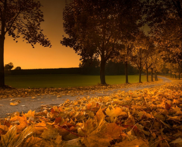 1598107544122829.png image.png