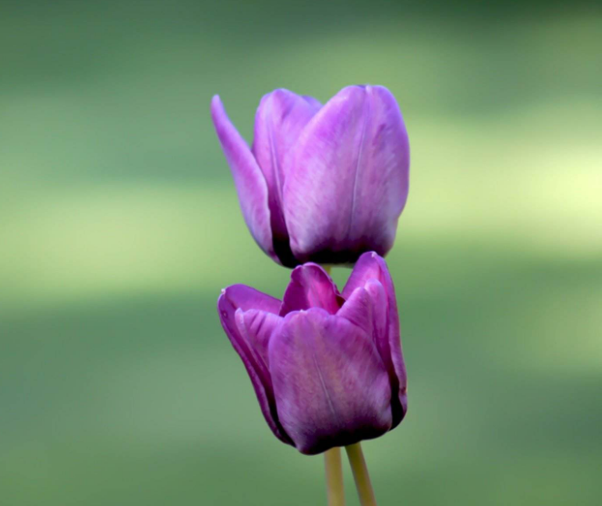 1598107561147599.png image.png