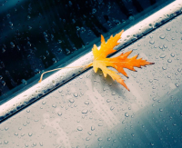 霸气又傲娇的网名