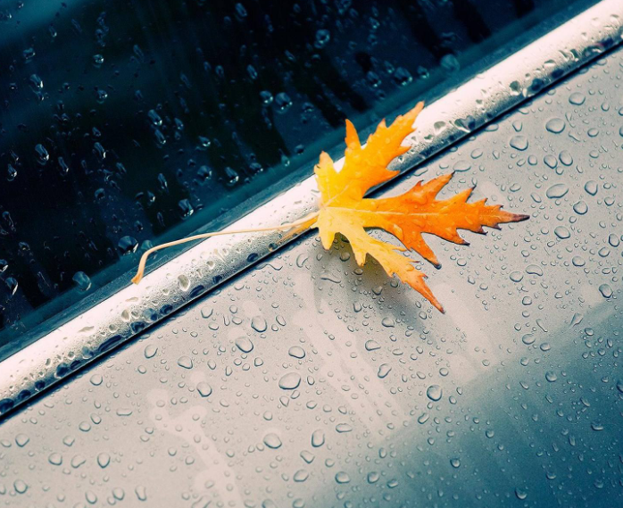 1598108111586523.png image.png