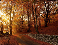 漂亮带特殊符号的网名 带有特殊符号的qq昵称