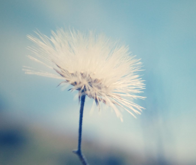 1598109894419775.png image.png