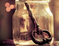 想起个好听好记的网名