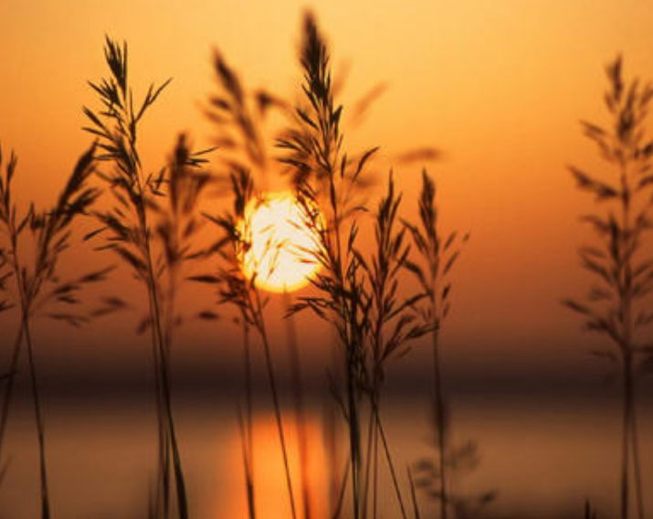 1598110088290937.png image.png