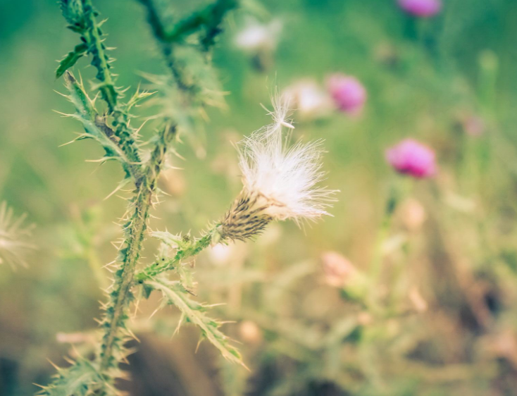 1598111892651156.png image.png