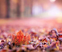 微信个性情侣网名一对 可爱情侣网名情侣专用