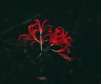 富有情调的网名情侣名