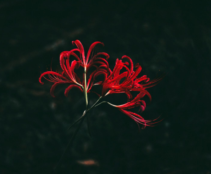 1598114013131565.png image.png