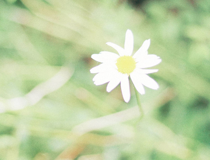 1598114434265936.png image.png