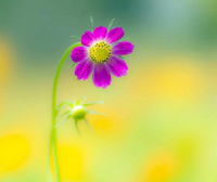 飞车情侣网名霸气恩爱