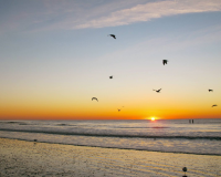 最好听的夫妻微信昵称