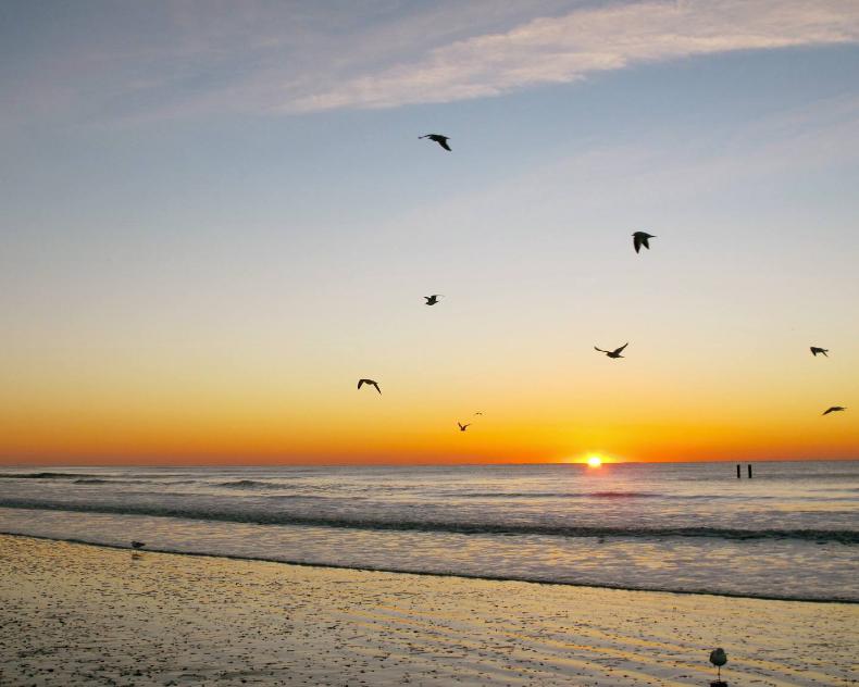 1598198979828619.png image.png