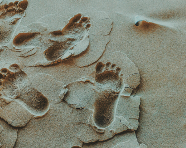 1598374113346319.png image.png