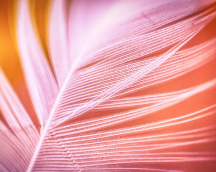 1598453961948248.png image.png