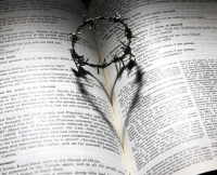 跑跑卡丁车游戏情侣名字