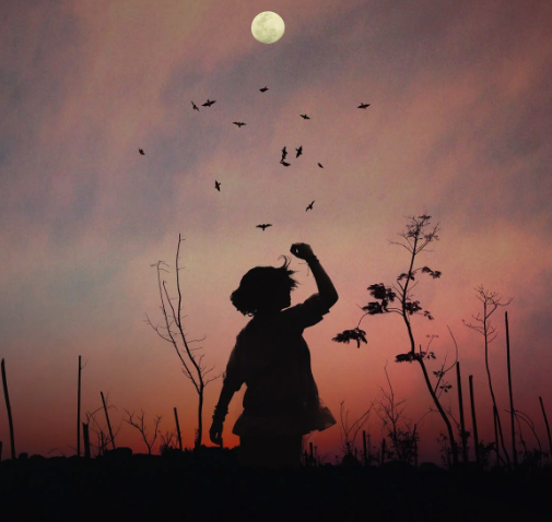 1598505704113358.png image.png