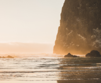 最新最潮的便利店名