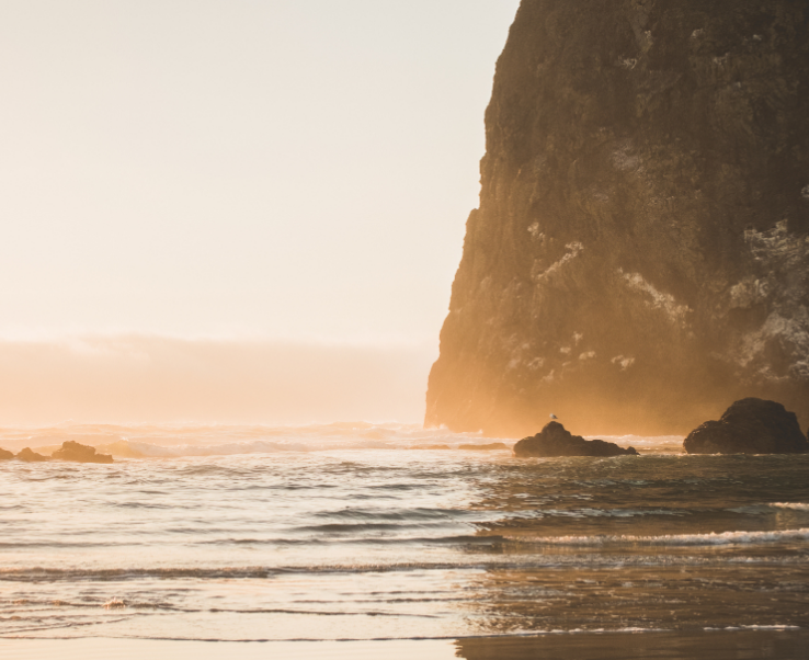 1598797205907196.png image.png