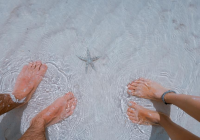 人生感悟的爱情句子