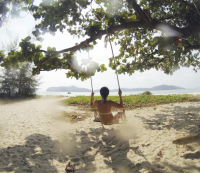 特别一点宠物店名字 宠物店超级拉风店名