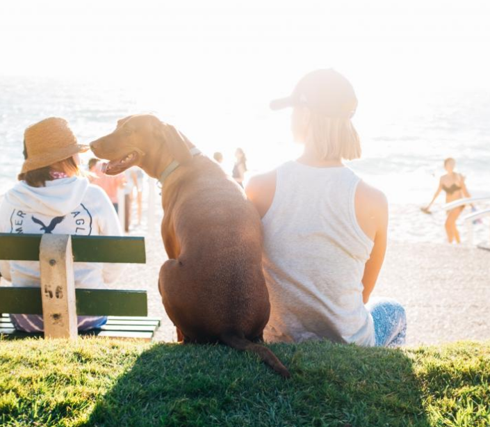 1598804736625079.png image.png