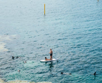 强势又搞笑表白的句子