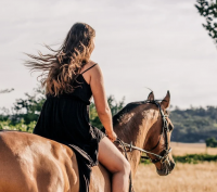 跟男生表白的套路句子 跟男生表白的情书