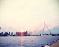 表白情话最暖心一段话 爱心表白最感人的句子