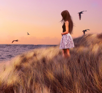 浪漫爱情的抒情句子 有关爱情的句子浪漫的