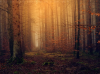 关于倾听名言 关于倾听的优美句子