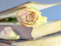 古人名人名言励志座右铭 经典古人名言名句大全