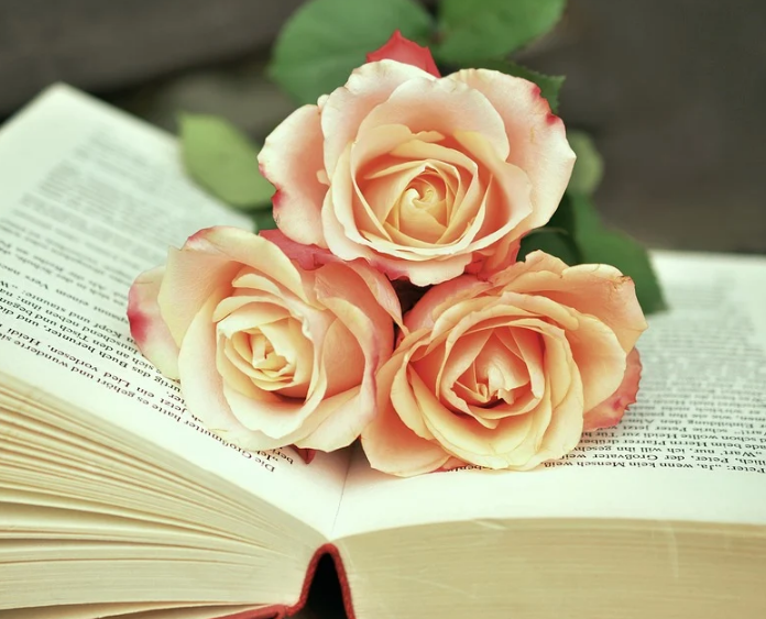 1599058410535272.png image.png