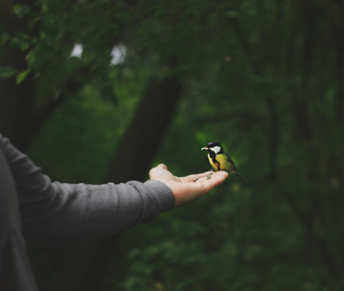 1599404370599561.png image.png