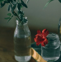 抖音上最好听的情侣名 幸福甜蜜网名抖音