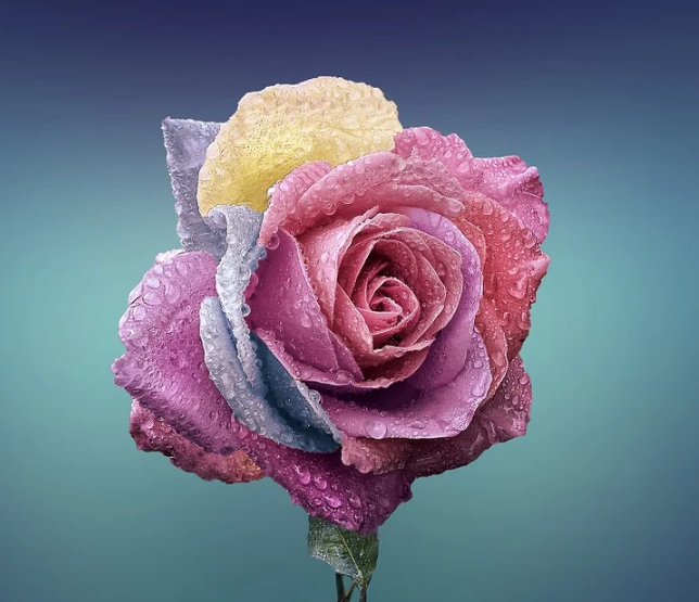 1599407865670865.png image.png