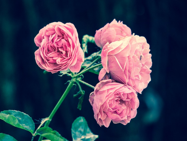 1599487929261375.png image.png