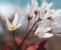 超甜的情侣网名2个字简单气质